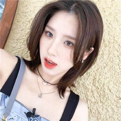 家有儿女之神犬当家